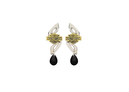 2 Tone Plated | Fashion Earrings